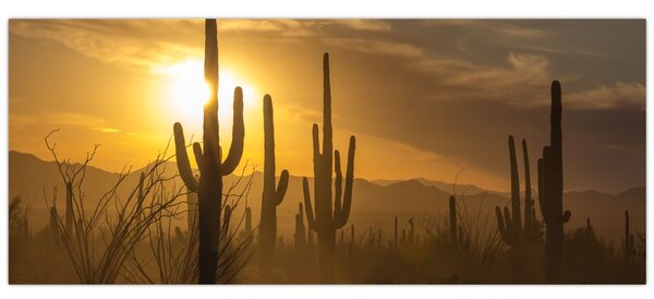 Slika - Saguaro kaktusi (120x50 cm)