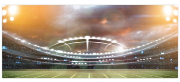 Slika - Stadion (120x50 cm)