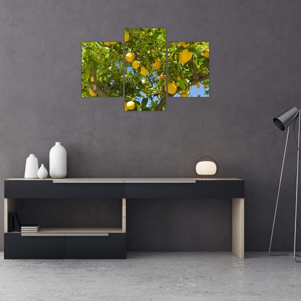 Slika - Limun (90x60 cm)