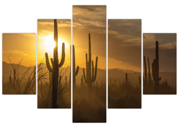 Slika - Saguaro kaktusi (150x105 cm)