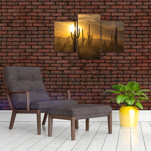 Slika - Saguaro kaktusi (90x60 cm)