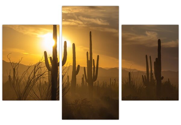 Slika - Saguaro kaktusi (90x60 cm)