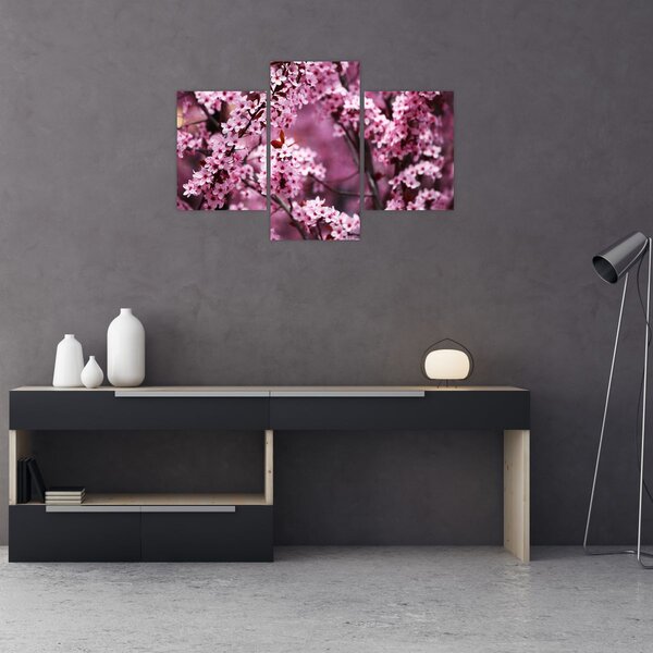 Slika - Ružičasta sakura (90x60 cm)