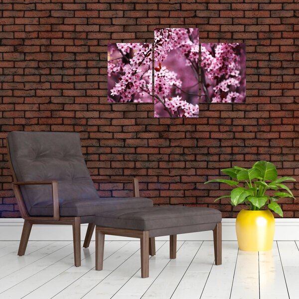 Slika - Ružičasta sakura (90x60 cm)