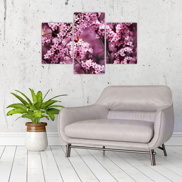 Slika - Ružičasta sakura (90x60 cm)