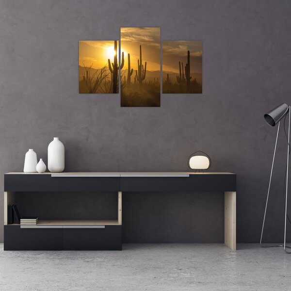 Slika - Saguaro kaktusi (90x60 cm)