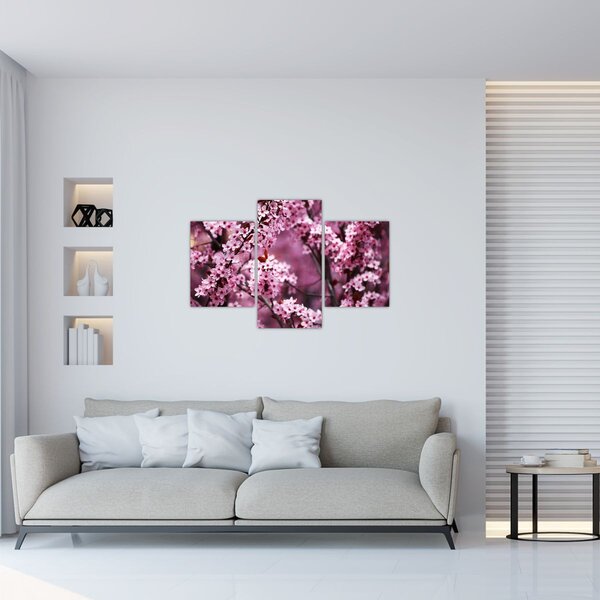 Slika - Ružičasta sakura (90x60 cm)