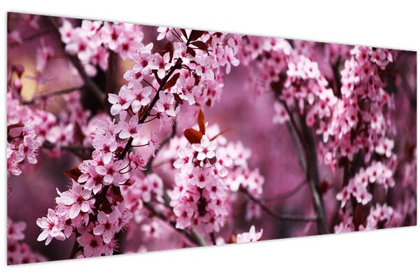 Slika - Ružičasta sakura (120x50 cm)