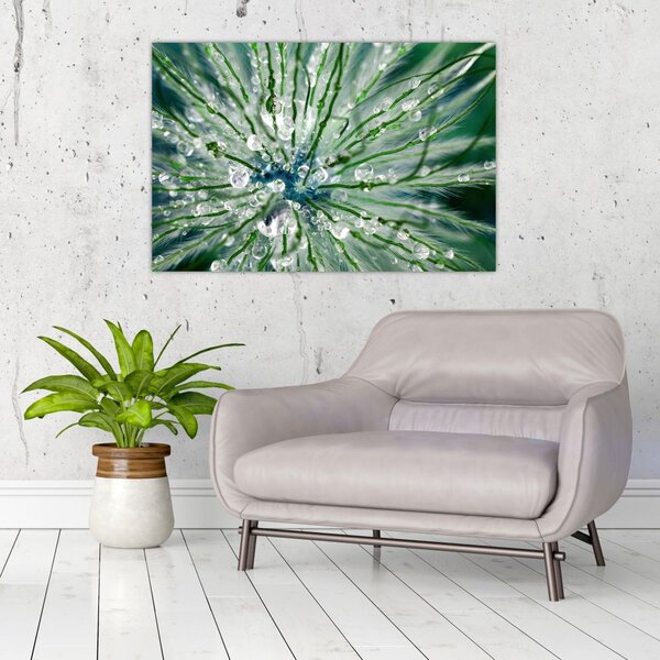 Slika - Makro slika cvijeta (90x60 cm)