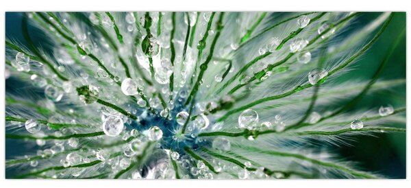 Slika - Makro slika cvijeta (120x50 cm)