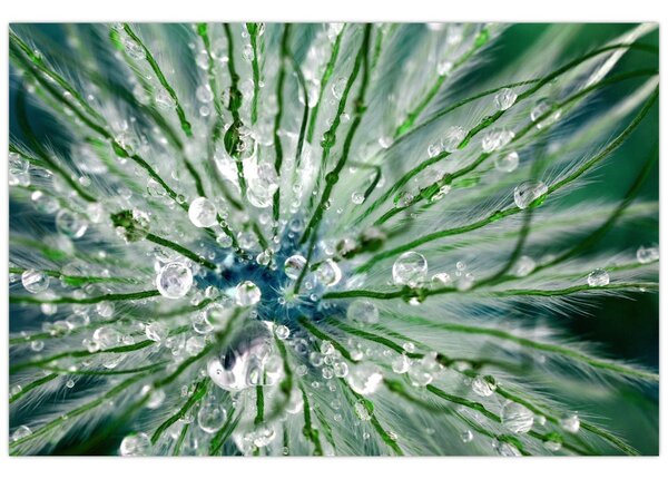 Slika - Makro slika cvijeta (90x60 cm)