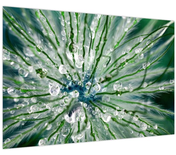 Slika - Makro slika cvijeta (90x60 cm)