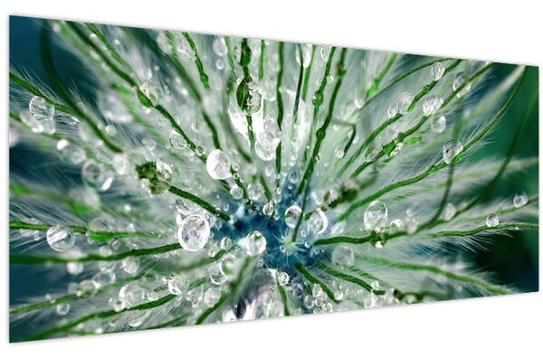 Slika - Makro slika cvijeta (120x50 cm)