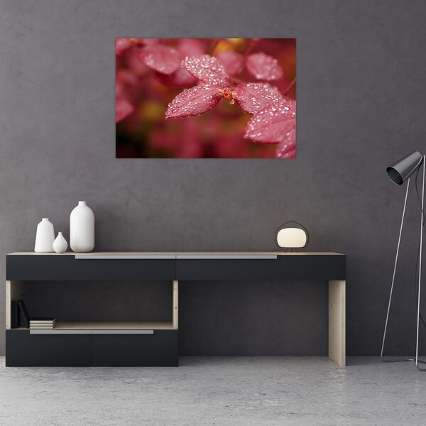 Slika - Makro slika ulaznice (90x60 cm)