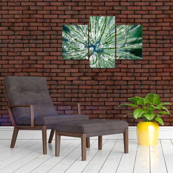 Slika - Makro slika cvijeta (90x60 cm)