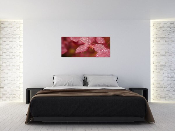 Slika - Makro slika ulaznice (120x50 cm)