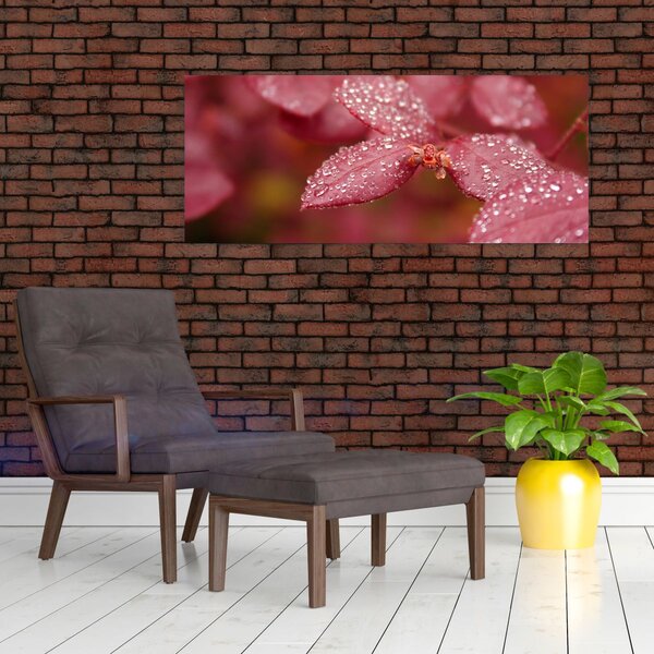 Slika - Makro slika ulaznice (120x50 cm)