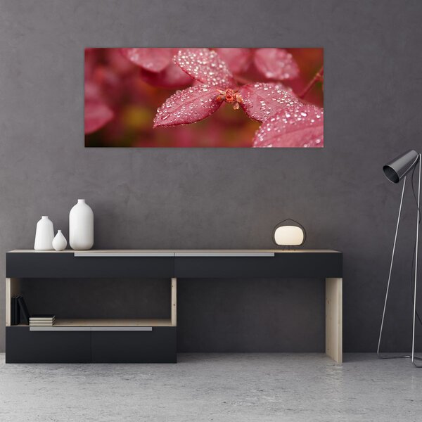 Slika - Makro slika ulaznice (120x50 cm)