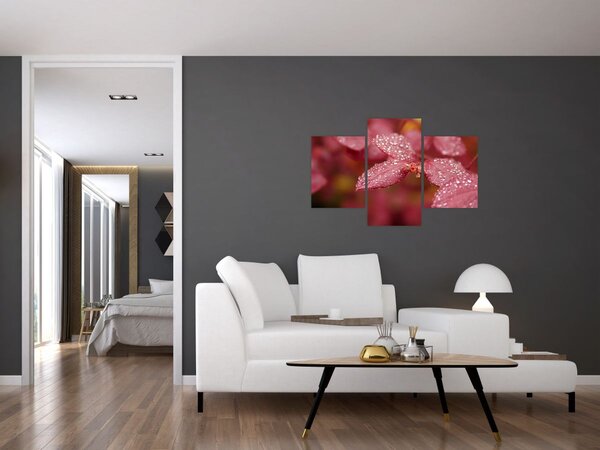 Slika - Makro slika ulaznice (90x60 cm)