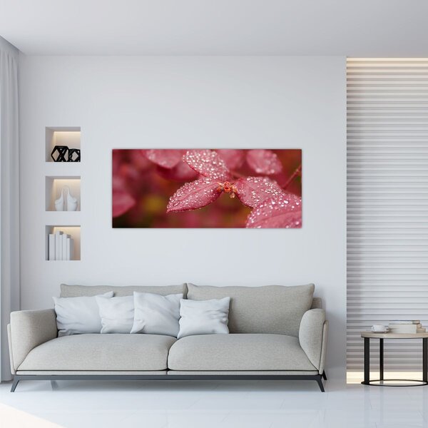 Slika - Makro slika ulaznice (120x50 cm)