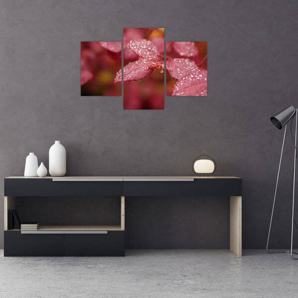 Slika - Makro slika ulaznice (90x60 cm)
