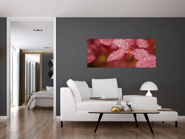 Slika - Makro slika ulaznice (120x50 cm)