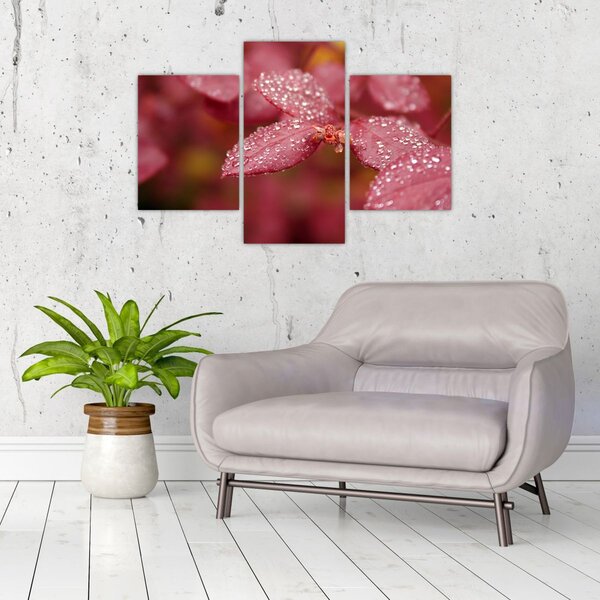 Slika - Makro slika ulaznice (90x60 cm)