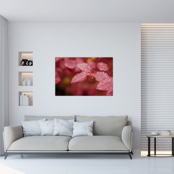 Slika - Makro slika ulaznice (90x60 cm)