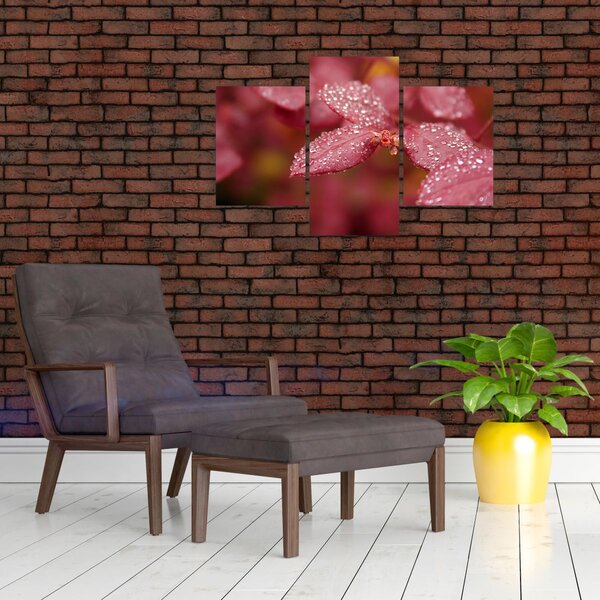 Slika - Makro slika ulaznice (90x60 cm)