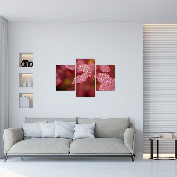 Slika - Makro slika ulaznice (90x60 cm)