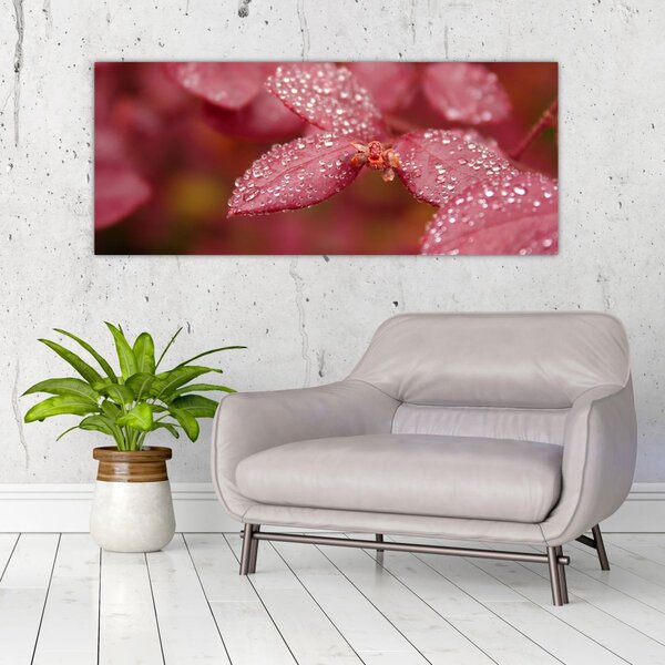 Slika - Makro slika ulaznice (120x50 cm)