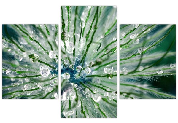 Slika - Makro slika cvijeta (90x60 cm)