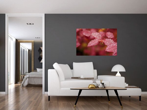 Slika - Makro slika ulaznice (90x60 cm)