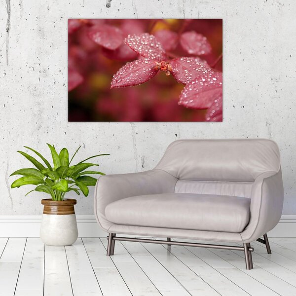 Slika - Makro slika ulaznice (90x60 cm)