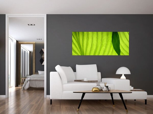Slika - Detalj zelenog lista (120x50 cm)