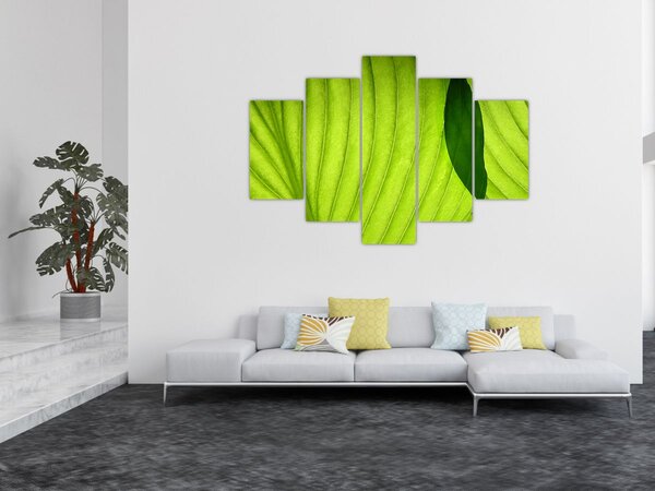Slika - Detalj zelenog lista (150x105 cm)