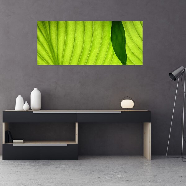 Slika - Detalj zelenog lista (120x50 cm)