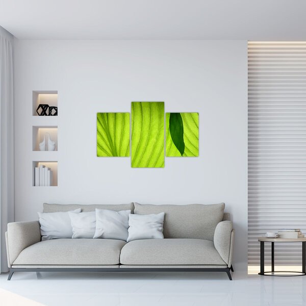 Slika - Detalj zelenog lista (90x60 cm)