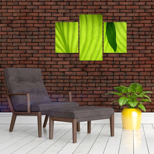 Slika - Detalj zelenog lista (90x60 cm)