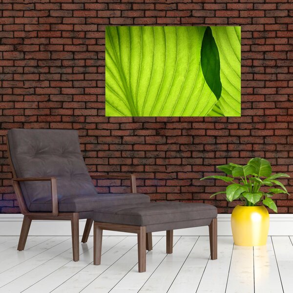 Slika - Detalj zelenog lista (90x60 cm)