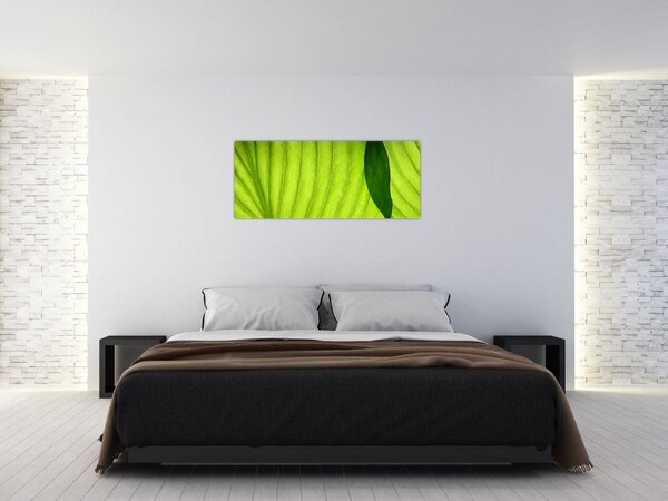 Slika - Detalj zelenog lista (120x50 cm)