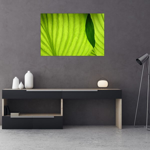 Slika - Detalj zelenog lista (90x60 cm)