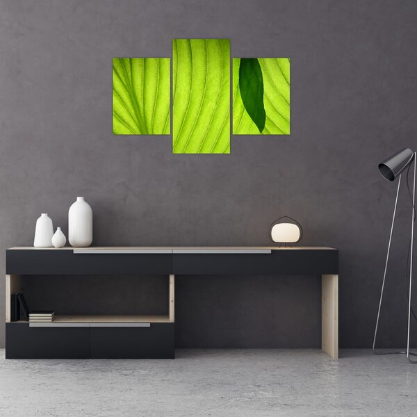 Slika - Detalj zelenog lista (90x60 cm)