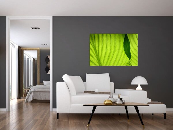 Slika - Detalj zelenog lista (90x60 cm)