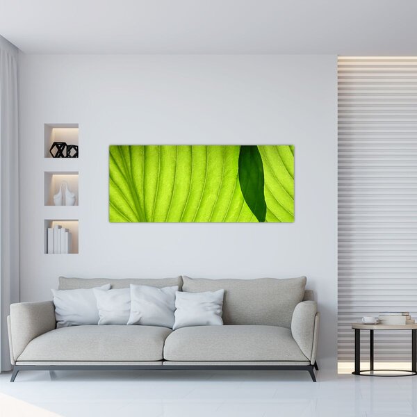 Slika - Detalj zelenog lista (120x50 cm)