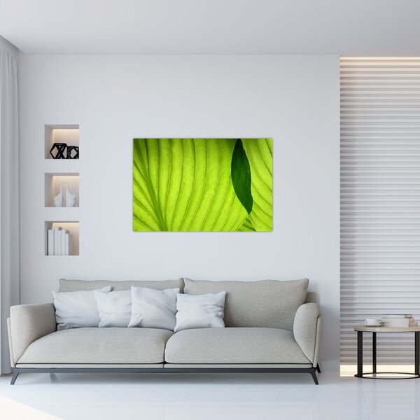 Slika - Detalj zelenog lista (90x60 cm)