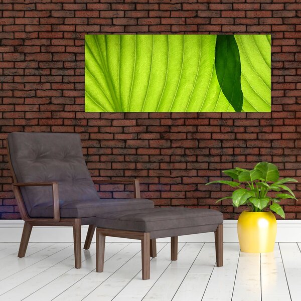Slika - Detalj zelenog lista (120x50 cm)