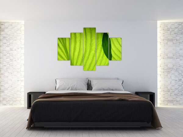 Slika - Detalj zelenog lista (150x105 cm)