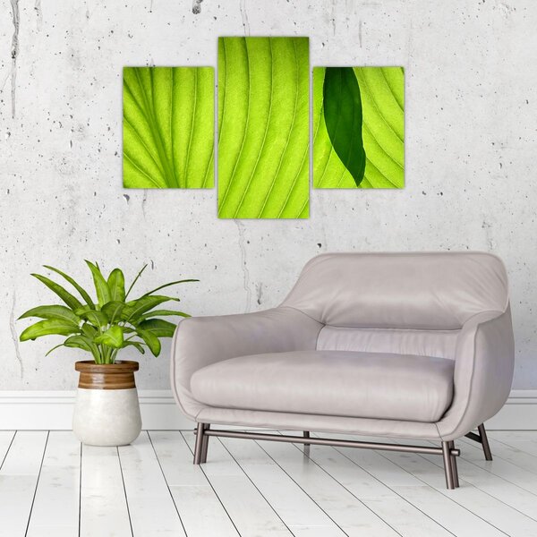 Slika - Detalj zelenog lista (90x60 cm)
