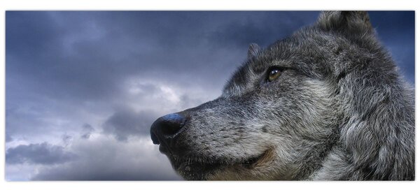 Slika - Vukova glava (120x50 cm)